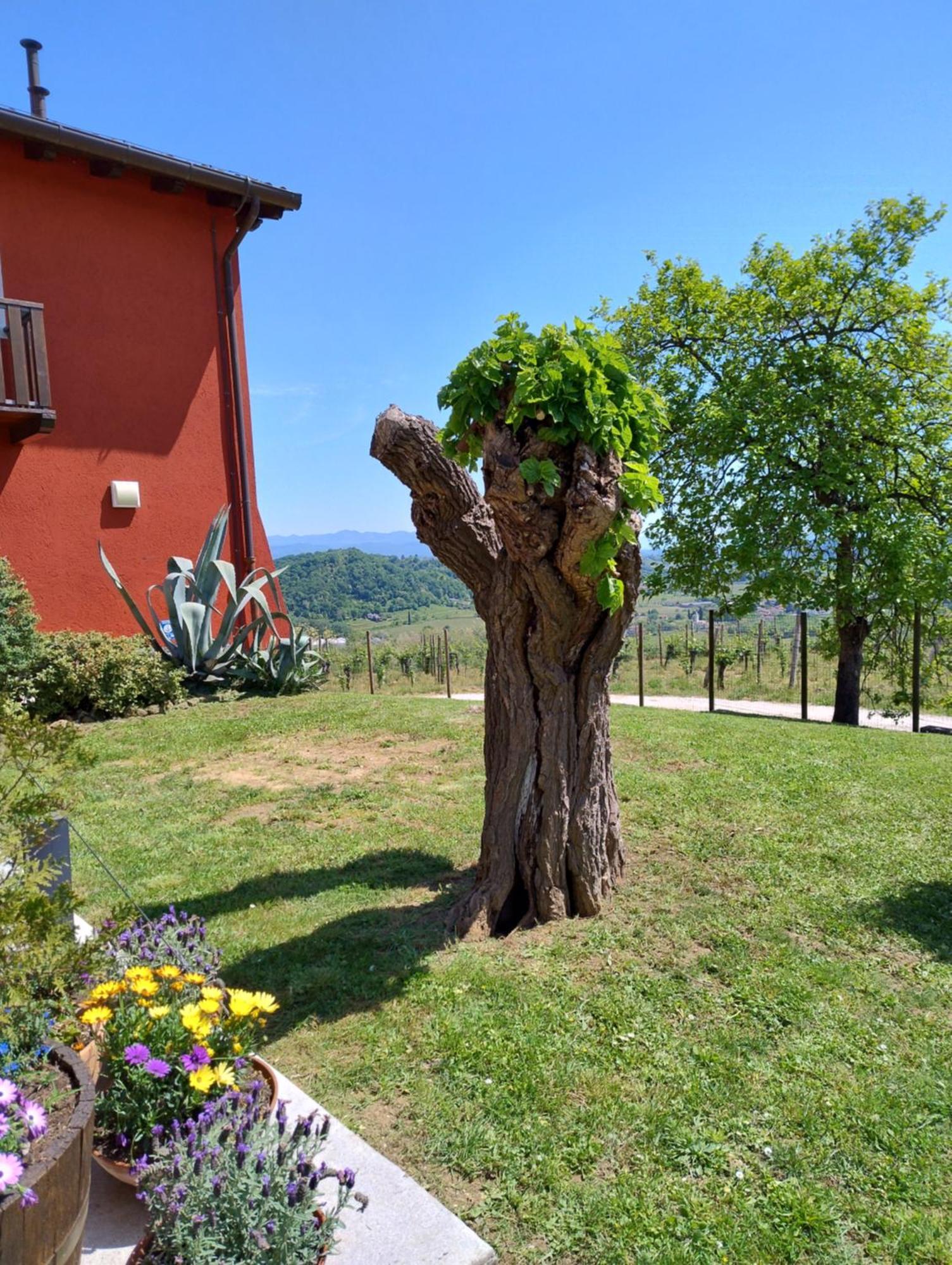 Le Badie Wine Resort Rosazzo Extérieur photo
