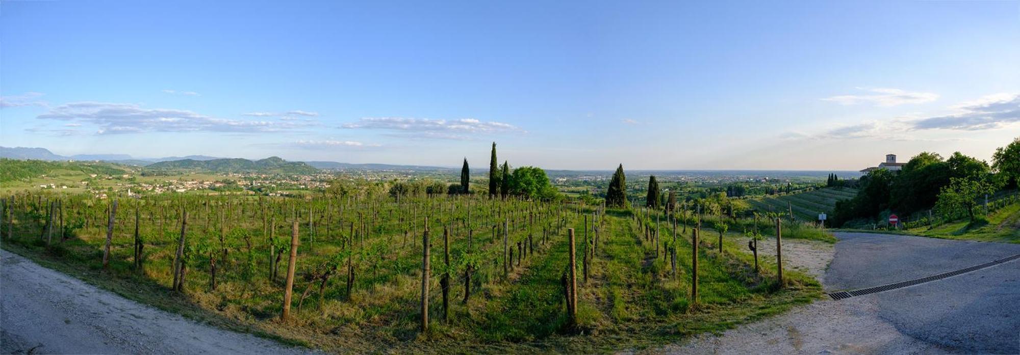 Le Badie Wine Resort Rosazzo Extérieur photo