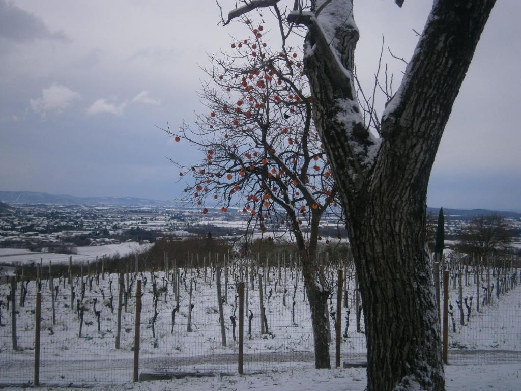 Le Badie Wine Resort Rosazzo Extérieur photo